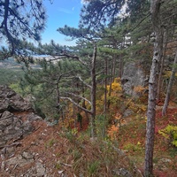 Вдоль пешеходного экологического маршрута "Боткинская тропа" на территории Ялтинского горно-лесного заповедника.