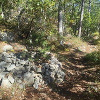 На пешеходном экологическом маршруте "Курчатовская тропа" Ялтинского горно-лесного природного заповедника.