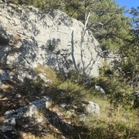 На пешеходном экологическом маршруте "Курчатовская тропа" Ялтинского горно-лесного природного заповедника.