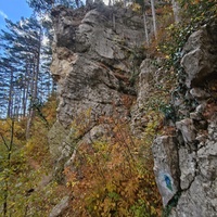 Вдоль пешеходного экологического маршрута "Боткинская тропа" на территории Ялтинского горно-лесного заповедника.