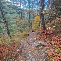 Пешеходный экологический маршрут "Боткинская тропа" на территории Ялтинского горно-лесного заповедника.