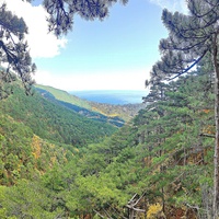 Вдоль пешеходного экологического маршрута "Боткинская тропа" на территории Ялтинского горно-лесного заповедника. Внизу - ущелье Яузлар, слева - хребет Иограф, справа - окрестности Ялты.