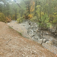 Пешеходный экологический маршрут "Боткинская тропа" на территории Ялтинского горно-лесного заповедника.