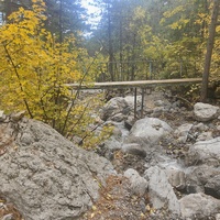 Пешеходный экологический маршрут "Боткинская тропа" на территории Ялтинского горно-лесного заповедника. Мостик через речку Шапка-Узень.