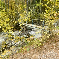 Пешеходный экологический маршрут "Боткинская тропа" на территории Ялтинского горно-лесного заповедника. Мостик через речку Шапка-Узень.