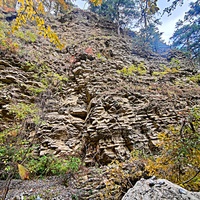 Вдоль пешеходного экологического маршрута "Боткинская тропа" около речки Шапка-Узень на территории Ялтинского горно-лесного заповедника.