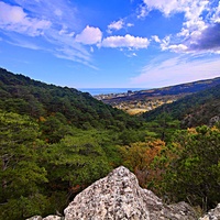 Вдоль пешеходного экологического маршрута "Боткинская тропа" на территории Ялтинского горно-лесного заповедника. Вид в сторону Ялты.