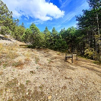 Вдоль пешеходного экологического маршрута "Боткинская тропа" на территории Ялтинского горно-лесного заповедника. Лавочка для отдыха.