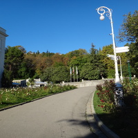 Дворцово-парковый ансамбль Ливадийского дворца. В парке перед Большим дворцом.