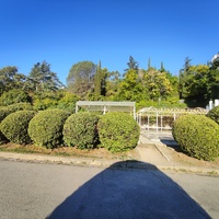 Дворцово-парковый ансамбль Ливадийского дворца. Парк-памятник садово-паркового искусства.