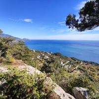 На пешеходном экологическом маршруте "Курчатовская тропа" Ялтинского горно-лесного природного заповедника. Вид с вершины г. Ай-Никола на Черноморскую акваторию, побережье и застройку Ореанды..