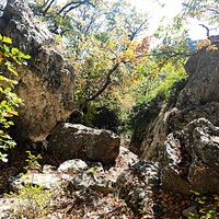 На пешеходном экологическом маршруте "Курчатовская тропа" Ялтинского горно-лесного природного заповедника.
