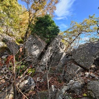 На пешеходном экологическом маршруте "Курчатовская тропа" Ялтинского горно-лесного природного заповедника.