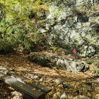 Лавочка для отдыха и мемориальная доска, посвящённая  И.В. Курчатову в начале пешеходного экологического маршрута "Курчатовская тропа" Ялтинского горно-лесного природного заповедника.