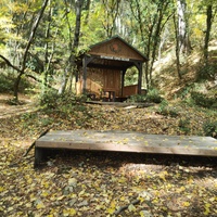 Зона отдыха в начале пешеходномгоэкологическом маршруте "Курчатовская тропа" Ялтинского горно-лесного природного заповедника.