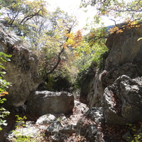 На пешеходном экологическом маршруте "Курчатовская тропа" Ялтинского горно-лесного природного заповедника.