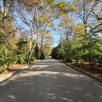 Дворцово-парковый ансамбль Ливадийского дворца. Улица Батурина.