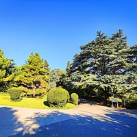 Дворцово-парковый ансамбль Ливадийского дворца. Территория парка-памятника садово-паркового искусства около Большого дворца.