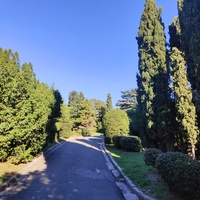 Дворцово-парковый ансамбль Ливадийского дворца. Территория парка-памятника садово-паркового искусства около Большого дворца.