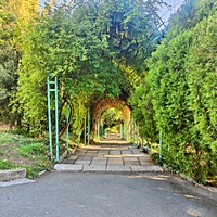 Дворцово-парковый ансамбль Ливадийского дворца. Территория парка-памятника садово-паркового искусства около Большого дворца. Пергола, созданная по желанию императрицы Марии Александровны, сохранилась до наших дней.