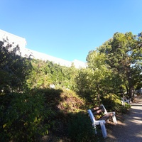 Царская, Горизонтальная, Солнечная тропа вдоль ЮБК от Ливад. дворца до санат. им. Розы Люксембург в Гаспре. По ней любил гулять Николай II с семьёй, поэтому – Царская. После революции тропу переименовали в Солнечную. Начало тропы в Ливад. парке.