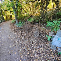 Царская (Горизонт., Солнеч.) тропа вдоль ЮБК от Ливад. дворца до сан. им. Розы Люксембург в Гаспре. Царская (гулял Николай II). Солнечная - после революции. Длина — 6,7 км; наклон — < 3° (потому гориз-я); высота над морем, — 133–203 м. Указ-ль пути.