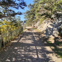 Царская, Горизонт., Солнеч. тропа вдоль ЮБК от Ливад. дворца до сан. им. Розы Люксембург в Гаспре. По ней гулял Николай II, потому – Царская. После революции -  Солнечная. Длина — 6,7 км; наклон — < 3° (поэтому гориз-я); высота над морем, — 133–203 м