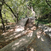 Царская, Горизонт., Солнеч. тропа вдоль ЮБК от Ливад. дворца до сан. им. Розы Люксембург в Гаспре. По ней гулял Николай II, потому – Царская. После революции -  Солнечная. Длина — 6,7 км; наклон — < 3° (поэтому гориз-я); высота над морем, — 133–203 м