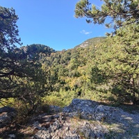 Вдоль Царской (Горизонтальной, Солнечной) тропы по ЮБК от Ливад. дворца до сан. им. Розы Люксембург в Гаспре. Длина — 6,7 км; наклон — < 3° (поэтому горизонтальная); высота над морем, — 133–203 м. Слева - г. Урьянда (Крестовая), справа - Ай-Никола.