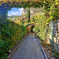 Царская, Горизонт., Солнеч. тропа вдоль ЮБК от Ливад. дворца до сан. им. Розы Люксембург в Гаспре. Длина — 6,7 км; наклон — < 3° (потому гориз-я); высота над морем, — 133–203 м. Пергола по южному склону г. Урьянда (Ореанда-Исар или Крестовая).