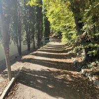 Царская, Горизонт., Солнеч. тропа вдоль ЮБК от Ливад. дворца до сан. им. Розы Люксембург в Гаспре. По ней гулял Николай II, потому – Царская. После революции -  Солнечная. Длина — 6,7 км; наклон — < 3° (поэтому гориз-я); высота над морем, — 133–203 м