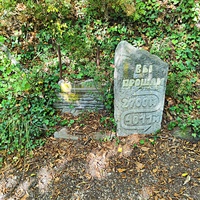 Царская (Горизонт., Солнеч.) тропа вдоль ЮБК от Ливад. дворца до сан. им. Розы Люксембург в Гаспре. Царская (гулял Николай II). Солнечная - после революции. Длина — 6,7 км; наклон — < 3° (потому гориз-я); высота над морем, — 133–203 м. Указ-ль пути.