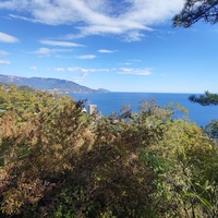 Вдоль Царской (Горизонтальной, Солнечной) тропы по ЮБК от Ливадийского дворца до сан. им. Розы Люксембург в Гаспре. Длина — 6,7 км; наклон — < 3° (поэтому горизонтальная); высота над морем, — 133–203 м.