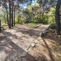 Царская, Горизонт., Солнеч. тропа вдоль ЮБК от Ливад. дворца до сан. им. Розы Люксембург в Гаспре. По ней гулял Николай II, потому – Царская. После революции -  Солнечная. Длина — 6,7 км; наклон — < 3° (поэтому гориз-я); высота над морем, — 133–203 м