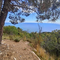 Вдоль Царской (Горизонтальной, Солнечной) тропы по ЮБК от Ливадийского дворца до сан. им. Розы Люксембург в Гаспре. Длина — 6,7 км; наклон — < 3° (поэтому горизонтальная); высота над морем, — 133–203 м.