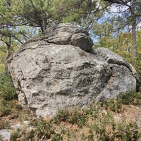 Вдоль Царской (Горизонтальной, Солнечной) тропы по ЮБК от Ливадийского дворца до сан. им. Розы Люксембург в Гаспре. Длина — 6,7 км; наклон — < 3° (поэтому горизонтальная); высота над морем, — 133–203 м.