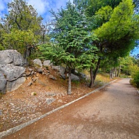 Царская, Горизонт., Солнеч. тропа вдоль ЮБК от Ливад. дворца до сан. им. Розы Люксембург в Гаспре. По ней гулял Николай II, потому – Царская. После революции -  Солнечная. Длина — 6,7 км; наклон — < 3° (поэтому гориз-я); высота над морем, — 133–203 м