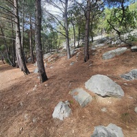 Царская, Горизонт., Солнеч. тропа вдоль ЮБК от Ливад. дворца до сан. им. Розы Люксембург в Гаспре. По ней гулял Николай II, потому – Царская. После революции -  Солнечная. Длина — 6,7 км; наклон — < 3° (поэтому гориз-я); высота над морем, — 133–203 м