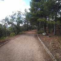 Царская, Горизонт., Солнеч. тропа вдоль ЮБК от Ливад. дворца до сан. им. Розы Люксембург в Гаспре. По ней гулял Николай II, потому – Царская. После революции -  Солнечная. Длина — 6,7 км; наклон — < 3° (поэтому гориз-я); высота над морем, — 133–203 м