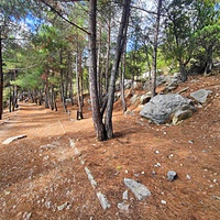 Царская, Горизонт., Солнеч. тропа вдоль ЮБК от Ливад. дворца до сан. им. Розы Люксембург в Гаспре. По ней гулял Николай II, потому – Царская. После революции -  Солнечная. Длина — 6,7 км; наклон — < 3° (поэтому гориз-я); высота над морем, — 133–203 м