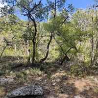 Вдоль Царской (Горизонтальной, Солнечной) тропы по ЮБК от Ливадийского дворца до сан. им. Розы Люксембург в Гаспре. Длина — 6,7 км; наклон — < 3° (поэтому горизонтальная); высота над морем, — 133–203 м.