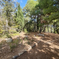 Царская, Горизонт., Солнеч. тропа вдоль ЮБК от Ливад. дворца до сан. им. Розы Люксембург в Гаспре. По ней гулял Николай II, потому – Царская. После революции -  Солнечная. Длина — 6,7 км; наклон — < 3° (поэтому гориз-я); высота над морем, — 133–203 м