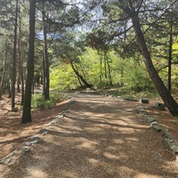 Царская, Горизонт., Солнеч. тропа вдоль ЮБК от Ливад. дворца до сан. им. Розы Люксембург в Гаспре. По ней гулял Николай II, потому – Царская. После революции -  Солнечная. Длина — 6,7 км; наклон — < 3° (поэтому гориз-я); высота над морем, — 133–203 м