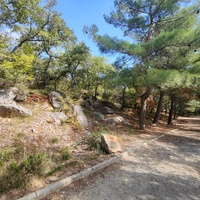 Царская, Горизонт., Солнеч. тропа вдоль ЮБК от Ливад. дворца до сан. им. Розы Люксембург в Гаспре. По ней гулял Николай II, потому – Царская. После революции -  Солнечная. Длина — 6,7 км; наклон — < 3° (поэтому гориз-я); высота над морем, — 133–203 м