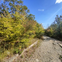 Царская, Горизонт., Солнеч. тропа вдоль ЮБК от Ливад. дворца до сан. им. Розы Люксембург в Гаспре. По ней гулял Николай II, потому – Царская. После революции -  Солнечная. Длина — 6,7 км; наклон — < 3° (поэтому гориз-я); высота над морем, — 133–203 м