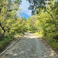 Царская, Горизонт., Солнеч. тропа вдоль ЮБК от Ливад. дворца до сан. им. Розы Люксембург в Гаспре. По ней гулял Николай II, потому – Царская. После революции -  Солнечная. Длина — 6,7 км; наклон — < 3° (поэтому гориз-я); высота над морем, — 133–203 м