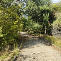 Царская, Горизонт., Солнеч. тропа вдоль ЮБК от Ливад. дворца до сан. им. Розы Люксембург в Гаспре. По ней гулял Николай II, потому – Царская. После революции -  Солнечная. Длина — 6,7 км; наклон — < 3° (поэтому гориз-я); высота над морем, — 133–203 м