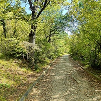 Царская, Горизонт., Солнеч. тропа вдоль ЮБК от Ливад. дворца до сан. им. Розы Люксембург в Гаспре. По ней гулял Николай II, потому – Царская. После революции -  Солнечная. Длина — 6,7 км; наклон — < 3° (поэтому гориз-я); высота над морем, — 133–203 м