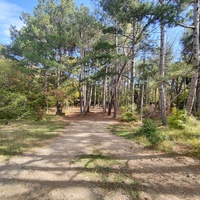 Царская, Горизонт., Солнеч. тропа вдоль ЮБК от Ливад. дворца до сан. им. Розы Люксембург в Гаспре. По ней гулял Николай II, потому – Царская. После революции -  Солнечная. Длина — 6,7 км; наклон — < 3° (поэтому гориз-я); высота над морем, — 133–203 м