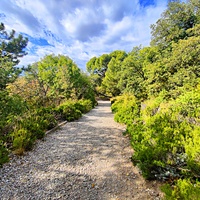 Царская, Горизонт., Солнеч. тропа вдоль ЮБК от Ливад. дворца до сан. им. Розы Люксембург в Гаспре. По ней гулял Николай II, потому – Царская. После революции -  Солнечная. Длина — 6,7 км; наклон — < 3° (поэтому гориз-я); высота над морем, — 133–203 м
